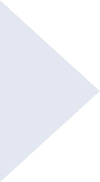 Celerus IO logo